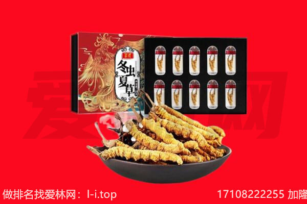 咸阳永寿县回收虫草.jpg